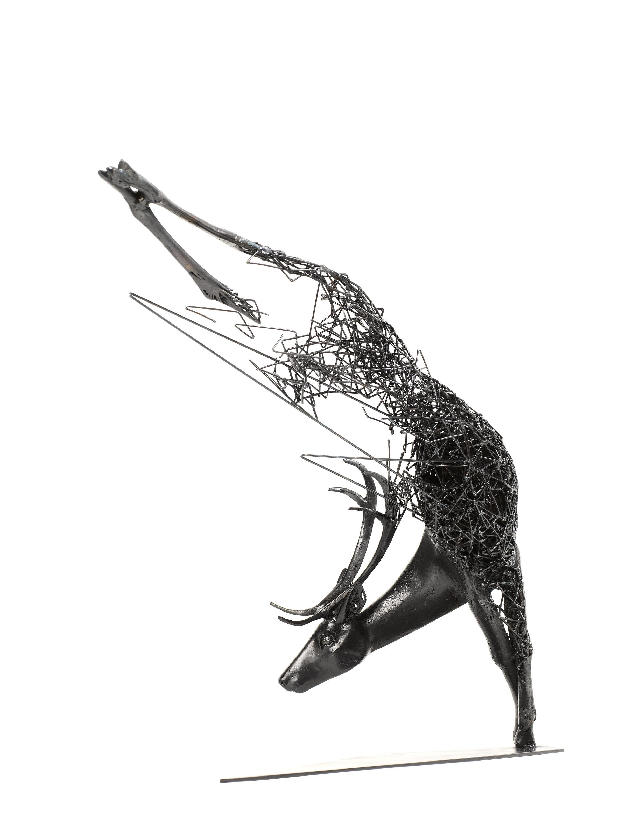 Tomohiro Inaba - THE MEMORY OF COMET - 04