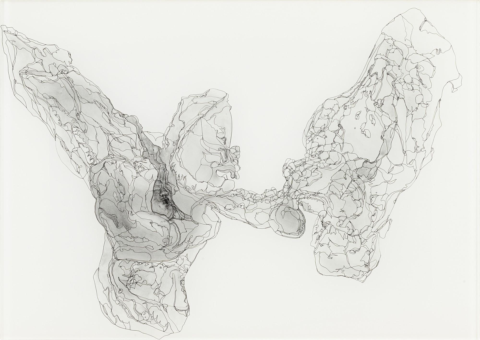 Tomoko Shioyasu - Fossil