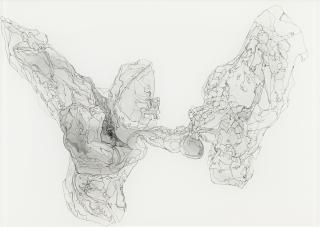 Tomoko Shioyasu - Fossil