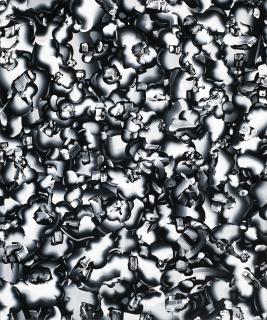 Tomoo Gokita - Auris Externa