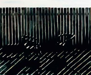 Tomory Dodge - Fence