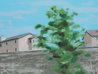 Tomory Dodge - Houses with Tree