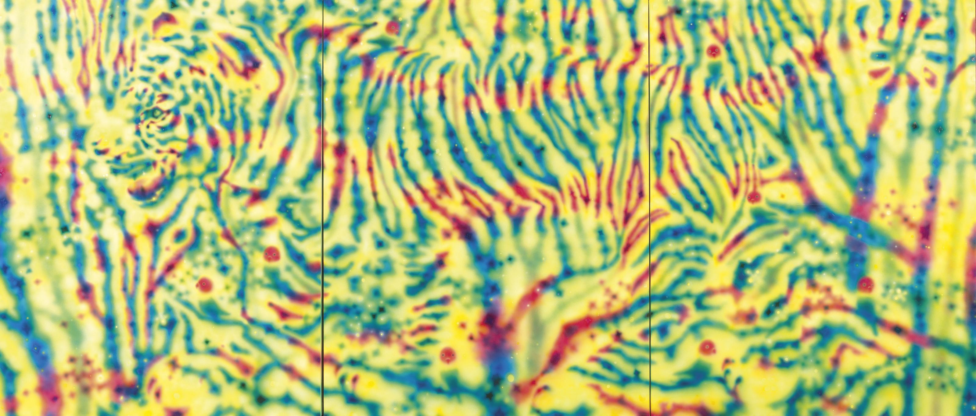 Tomoya Tsukamoto - Jungle of Colour 2