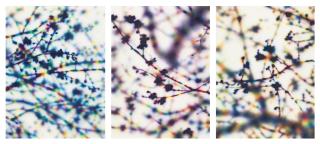 Tomoya Tsukamoto - Light And Shadow (Blue); Light And Shadow (Red); Light And Shadow (Yellow)