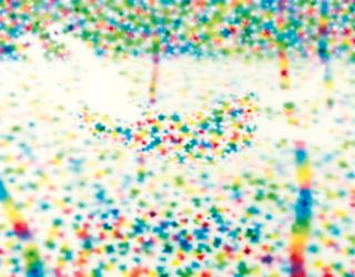 Tomoya Tsukamoto - Red Yellow Blue (Forest)