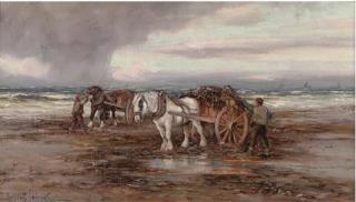 Tomson Laing - Gathering Kelp