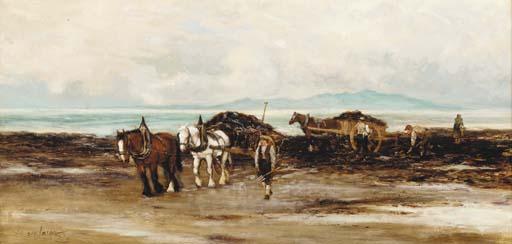 Tomson Laing - Gathering seaweed