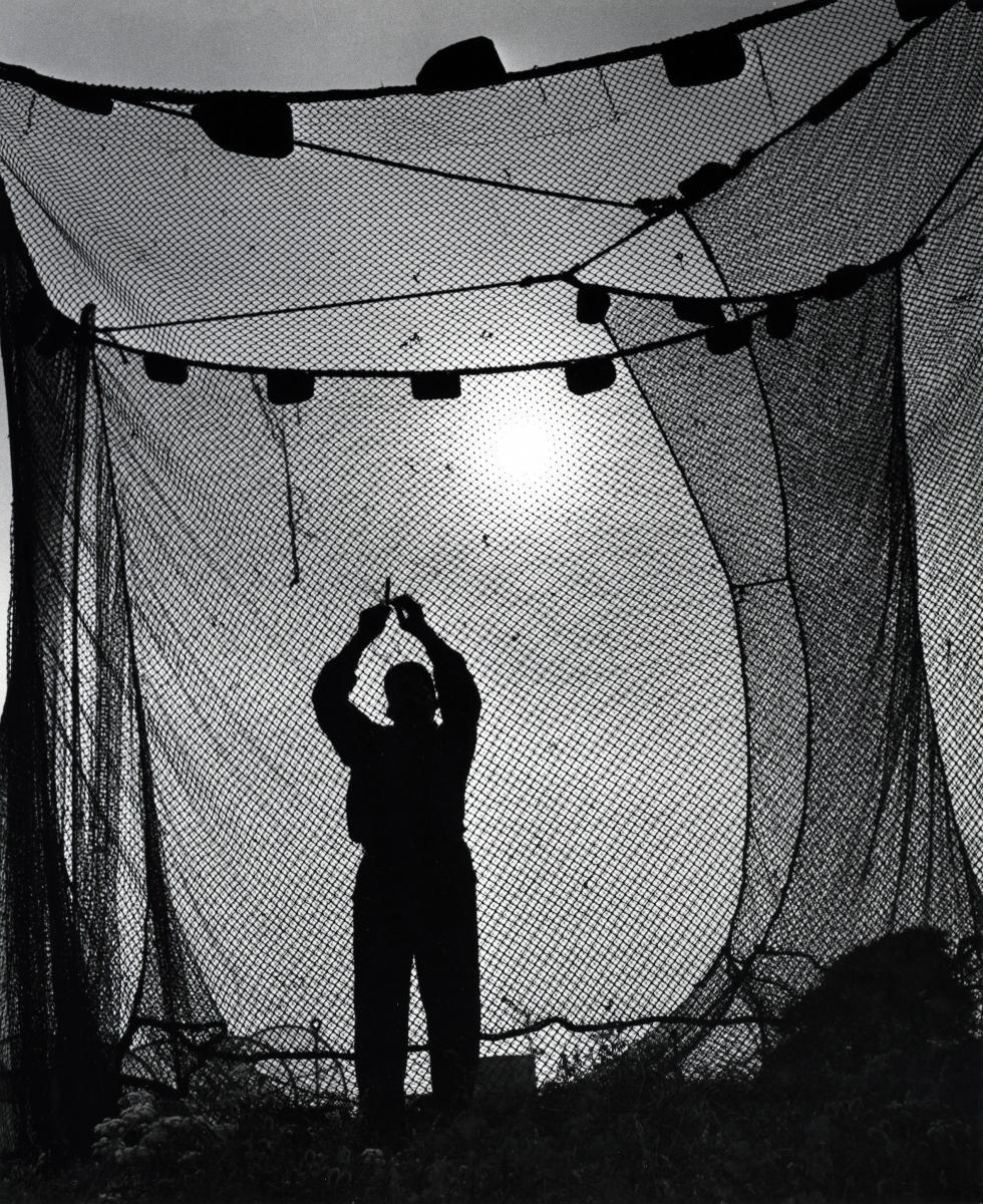 Toni Schneiders - »Fischer von Schonen (Dänemark)»