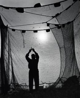 Toni Schneiders - »Fischer von Schonen (Dänemark)»