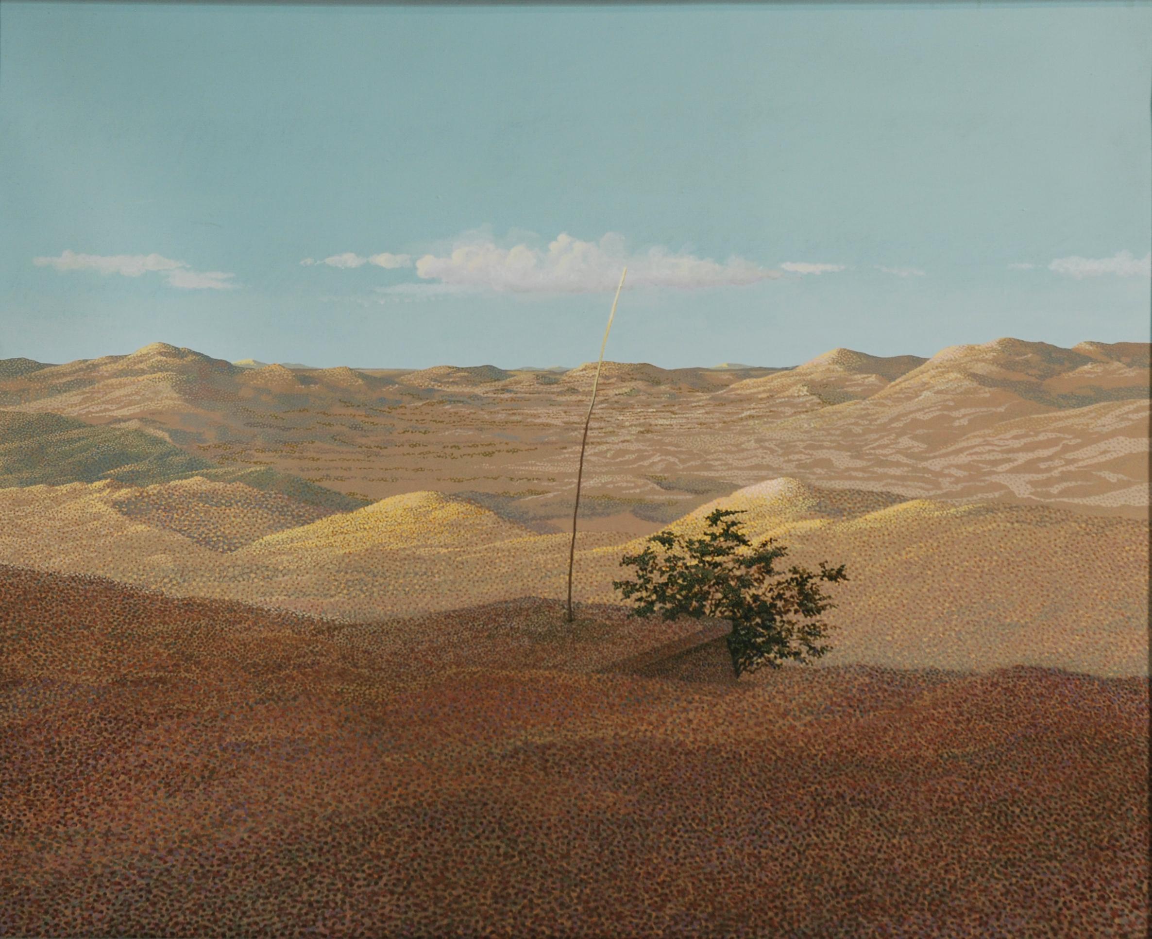 Tono Mucchi - Il deserto di Thar