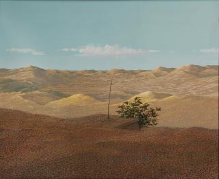 Tono Mucchi - Il deserto di Thar