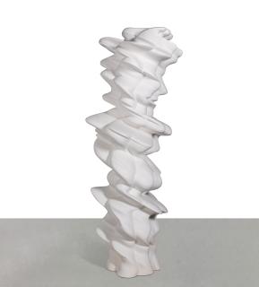 Tony Cragg - Accurate Figure