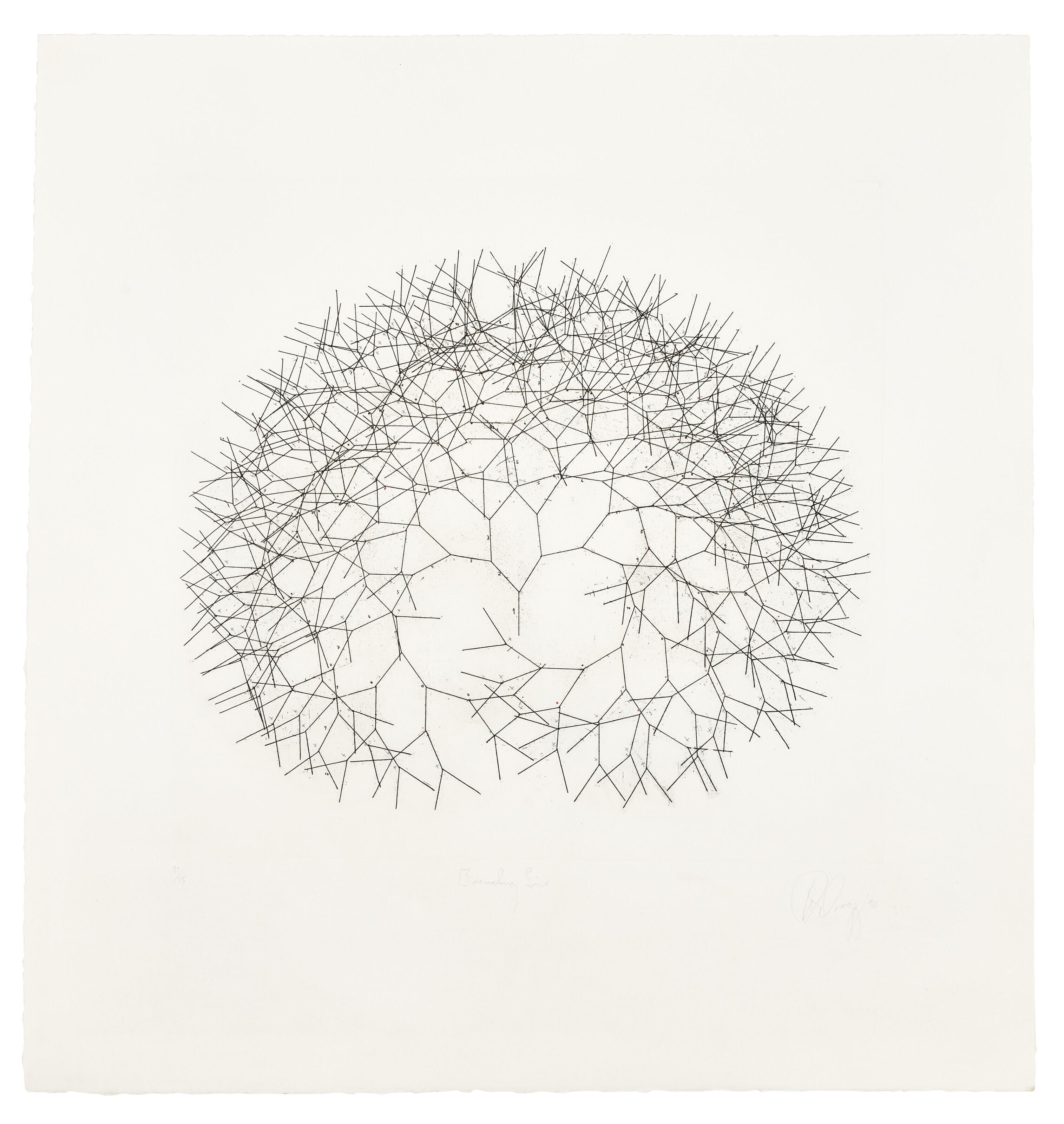 Tony Cragg - Branching Line