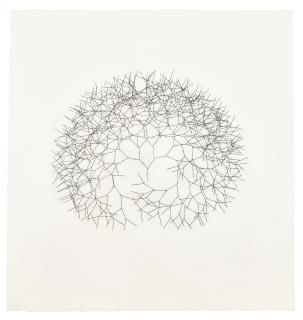 Tony Cragg - Branching Line