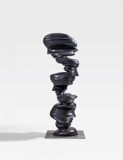 Tony Cragg - Eye to Eye