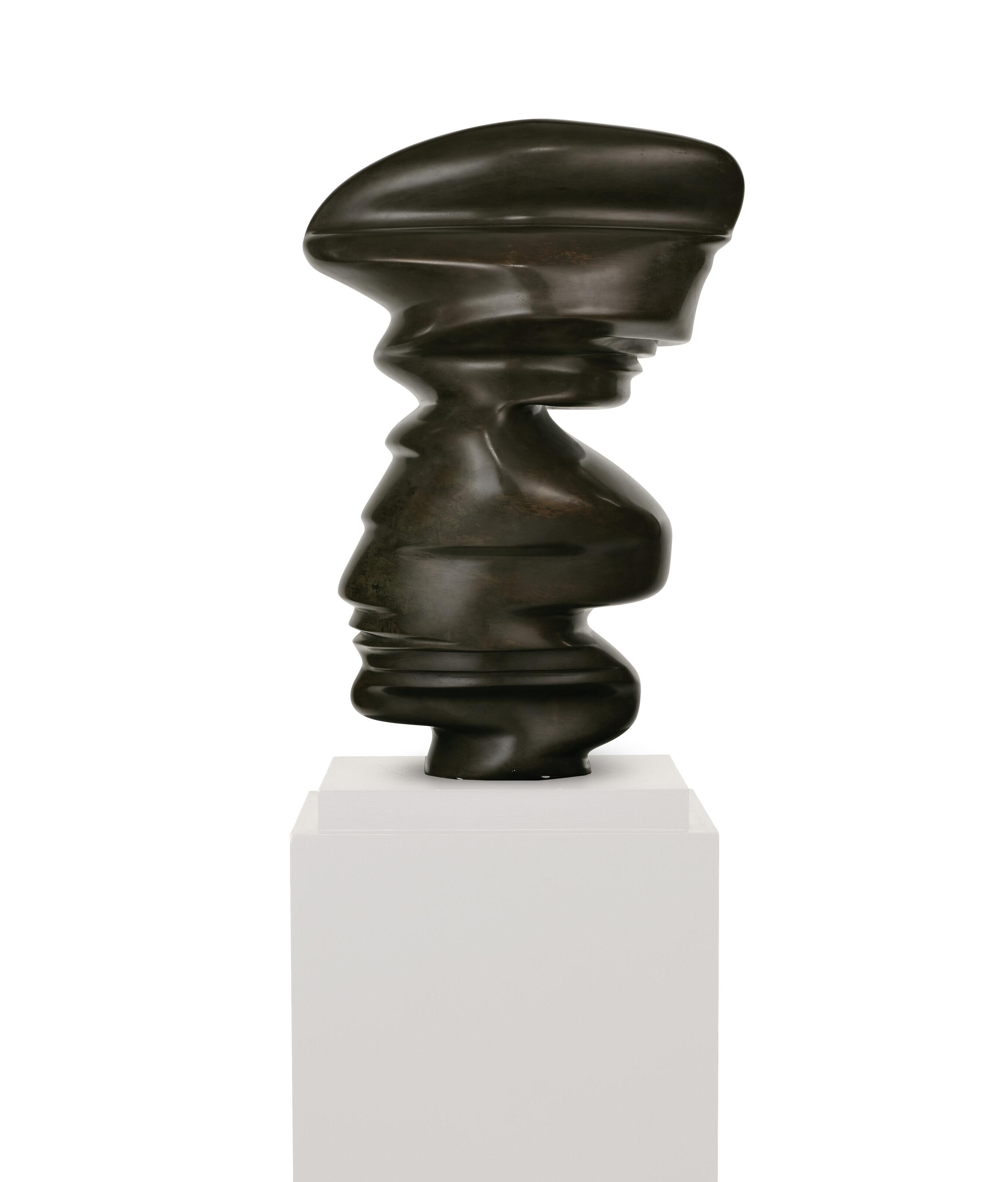 Tony Cragg - Fat Bronze Head