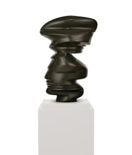Tony Cragg - Fat Bronze Head