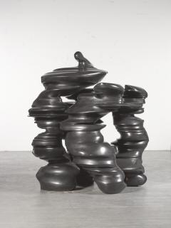 Tony Cragg - Figments