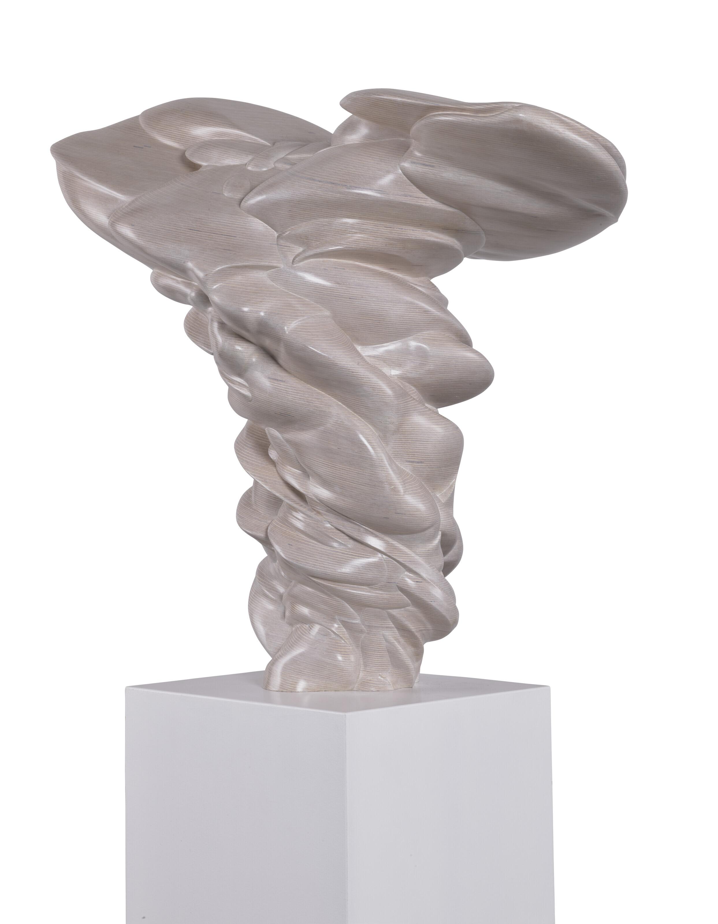 Tony Cragg - First Person