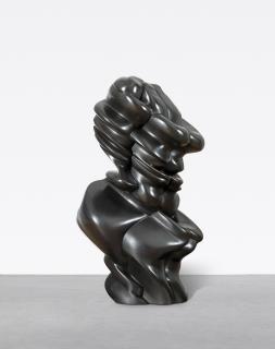 Tony Cragg - Good Face