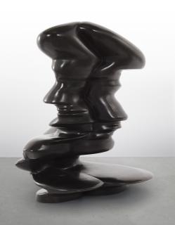 Tony Cragg - Helix Head