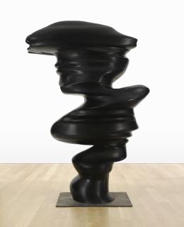 Tony Cragg - Level Head