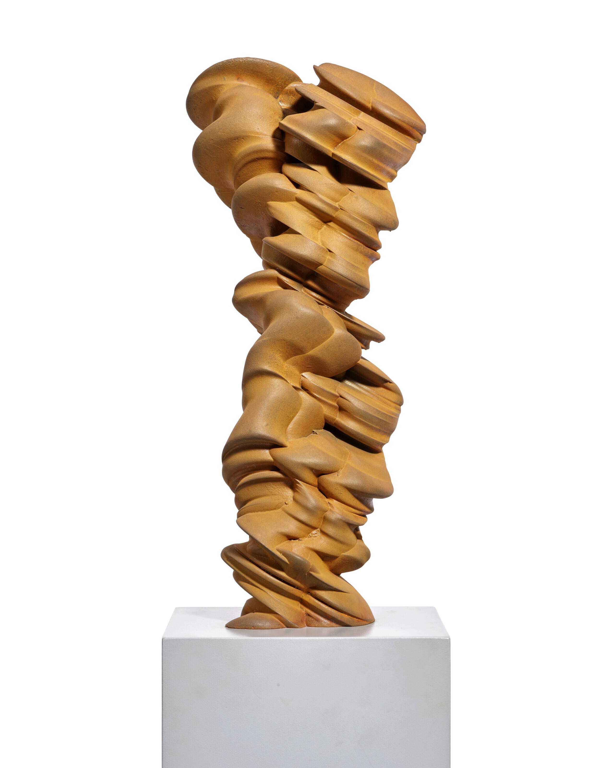Tony Cragg - Mixed Feelings