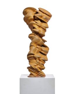 Tony Cragg - Mixed Feelings