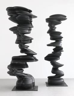 Tony Cragg - Pair
