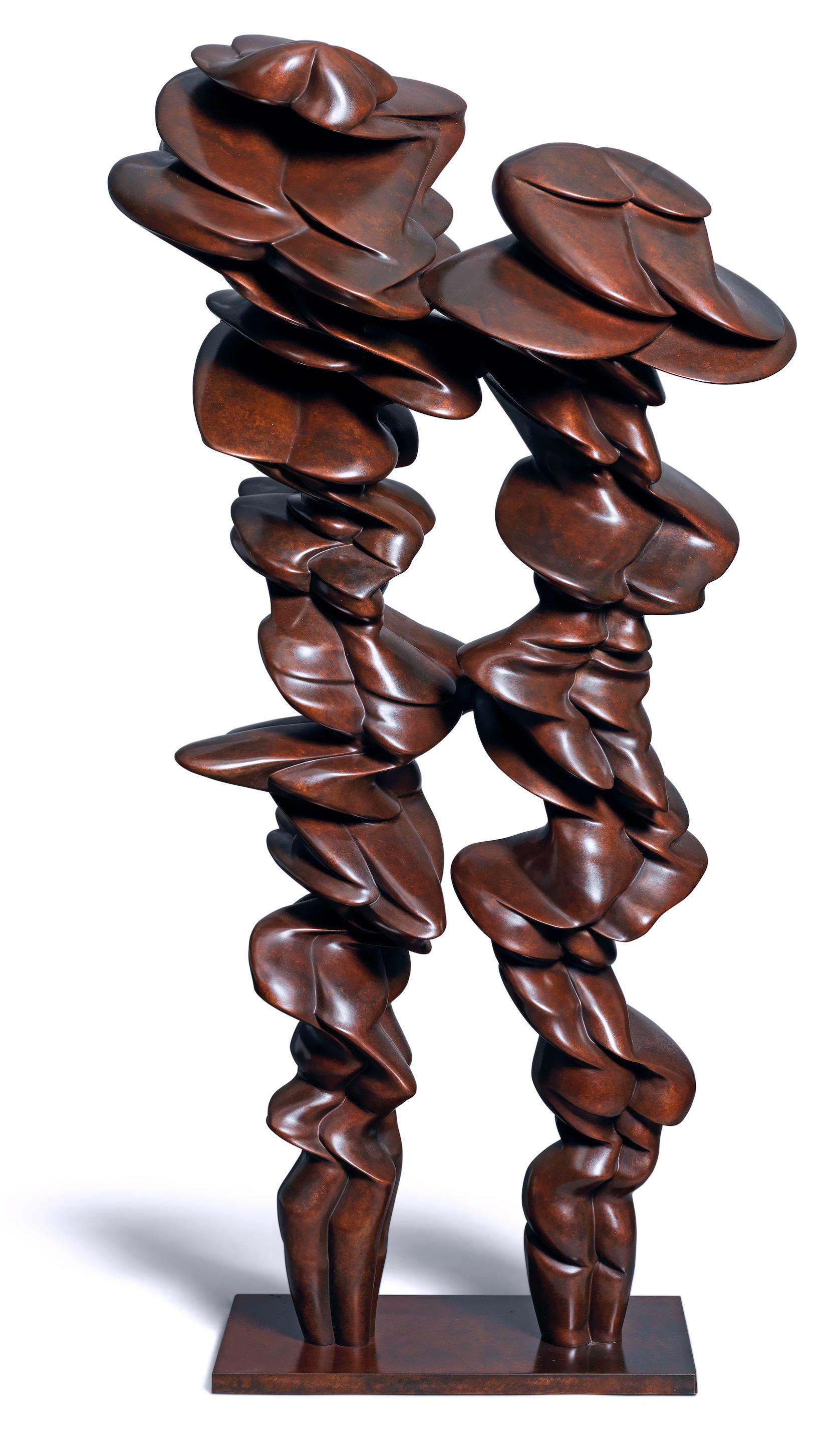 Tony Cragg - Pair