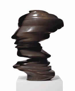 Tony Cragg - Tall Head