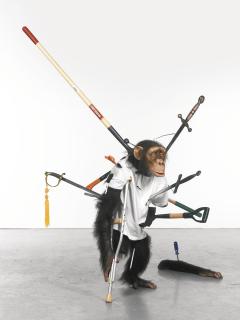 Tony Matelli - Fuck\'D