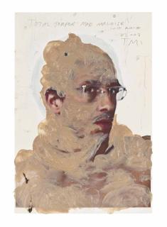 Tony Matelli - Total Torpor Mad Malaise with Flies II