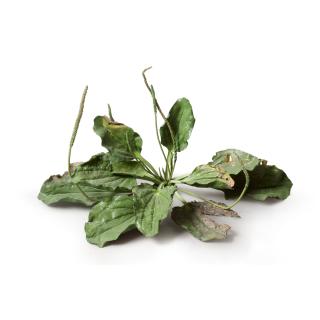 Tony Matelli - Untitled (Abandon)