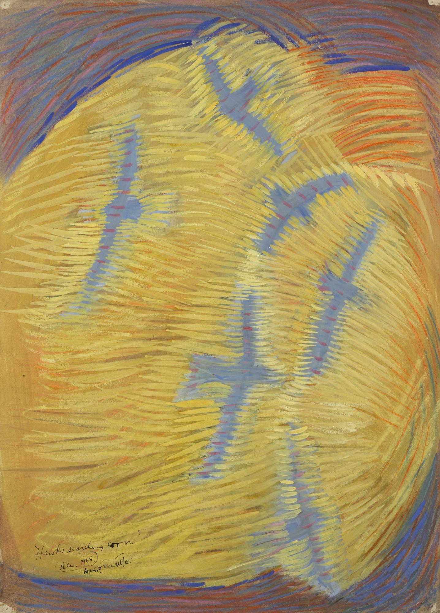 Tony O\'Malley - Hawks Searching Corn