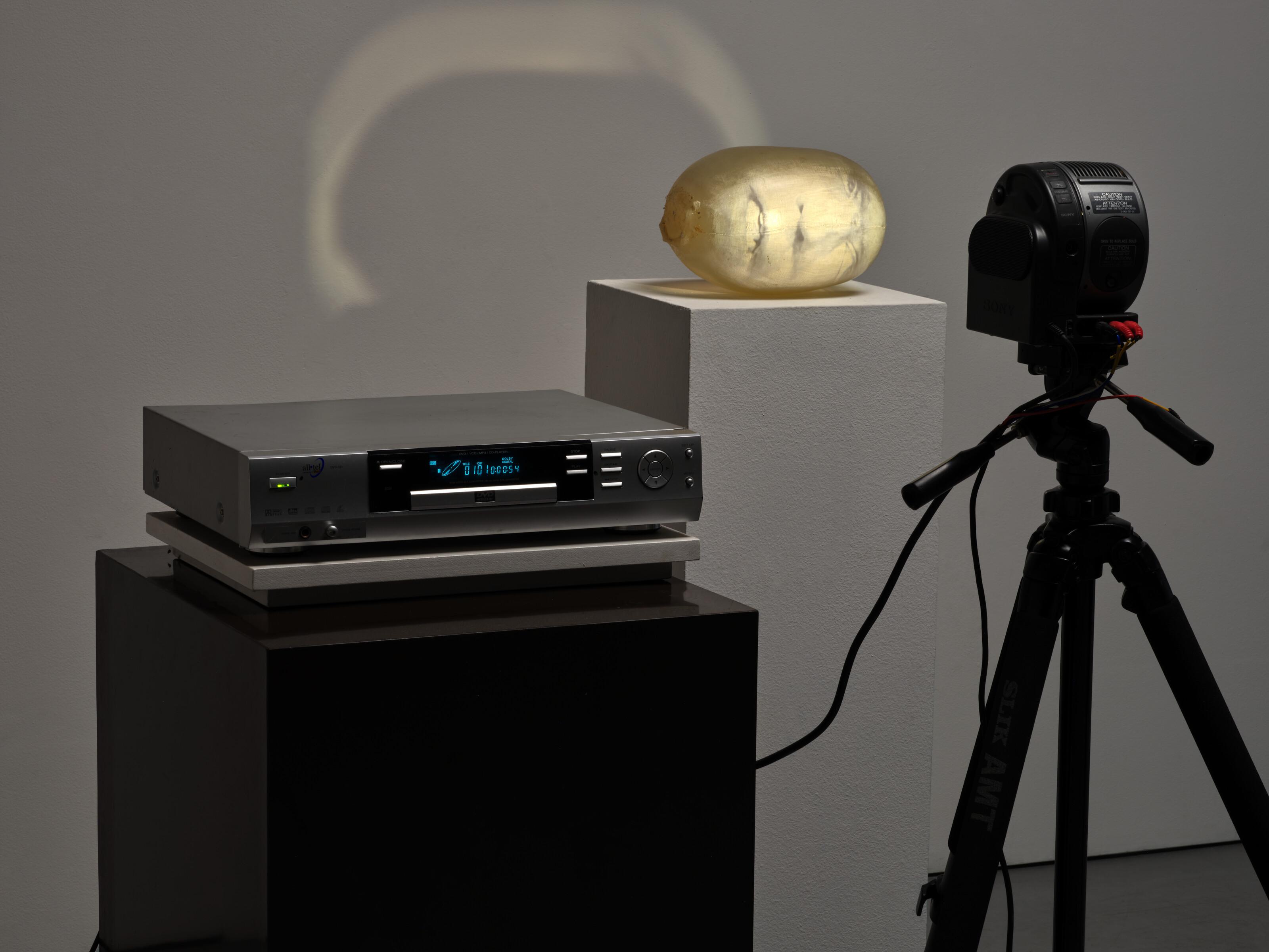 Tony Oursler - Damage