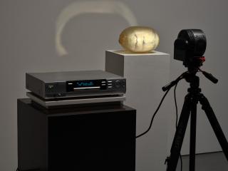 Tony Oursler - Damage