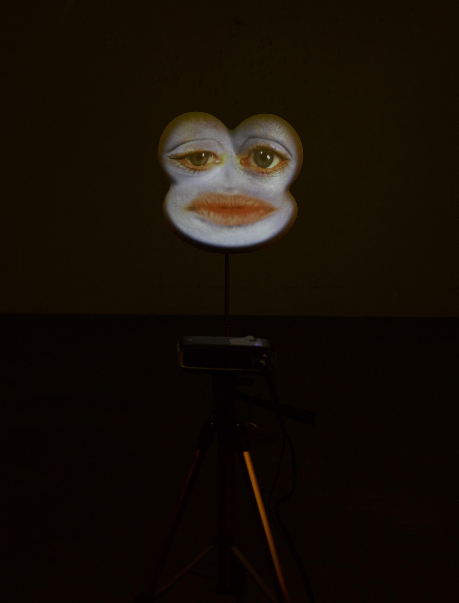 Tony Oursler - Eeek