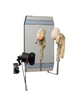 Tony Oursler - Mirror