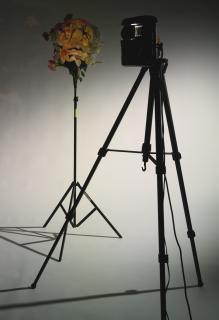 Tony Oursler - Violent Flowers