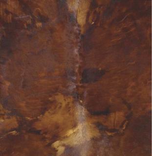 Tony Tasset - Domestic Abstraction