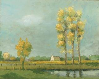 Toon Hermans - Het vlakke land