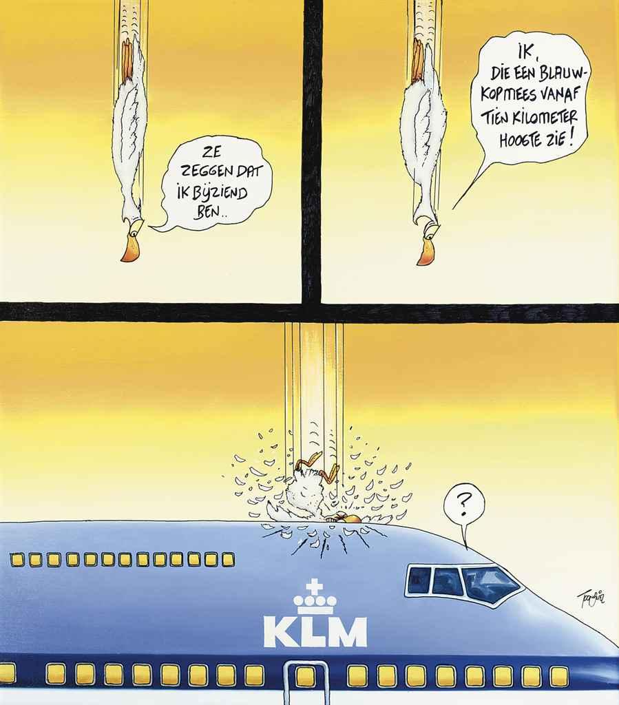 Toon van Driel - Ze zeggen dat ik bijziend ben