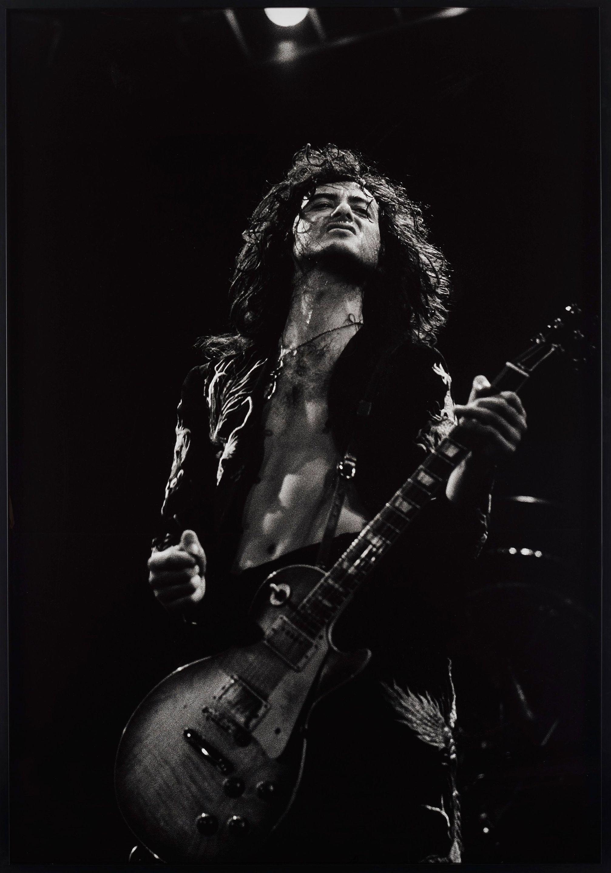 Torbjörn Calvero - \