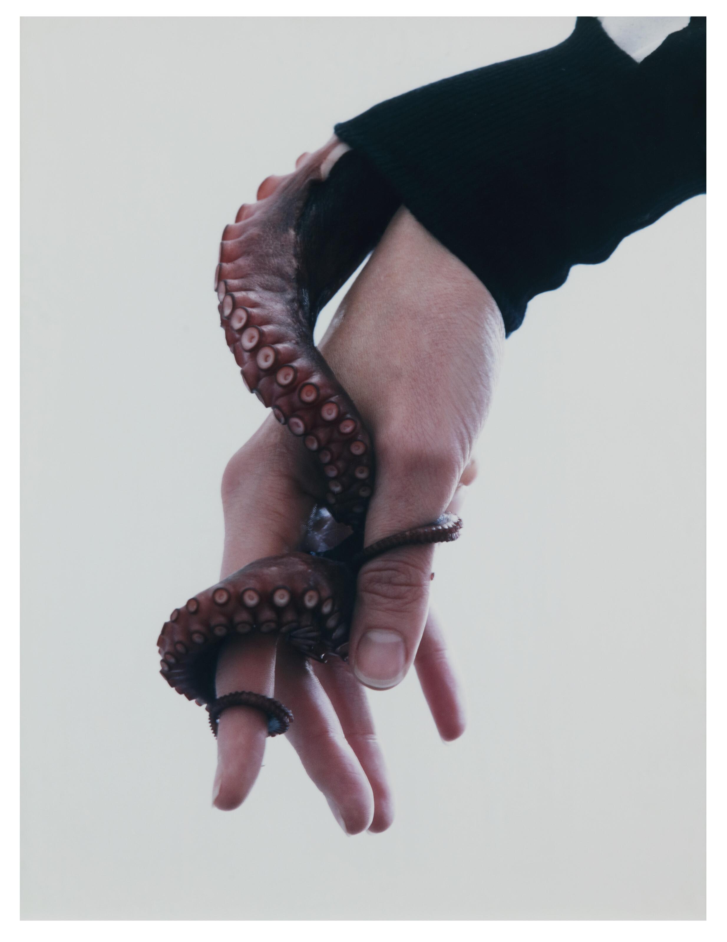 Torbjorn Rodland - Arms