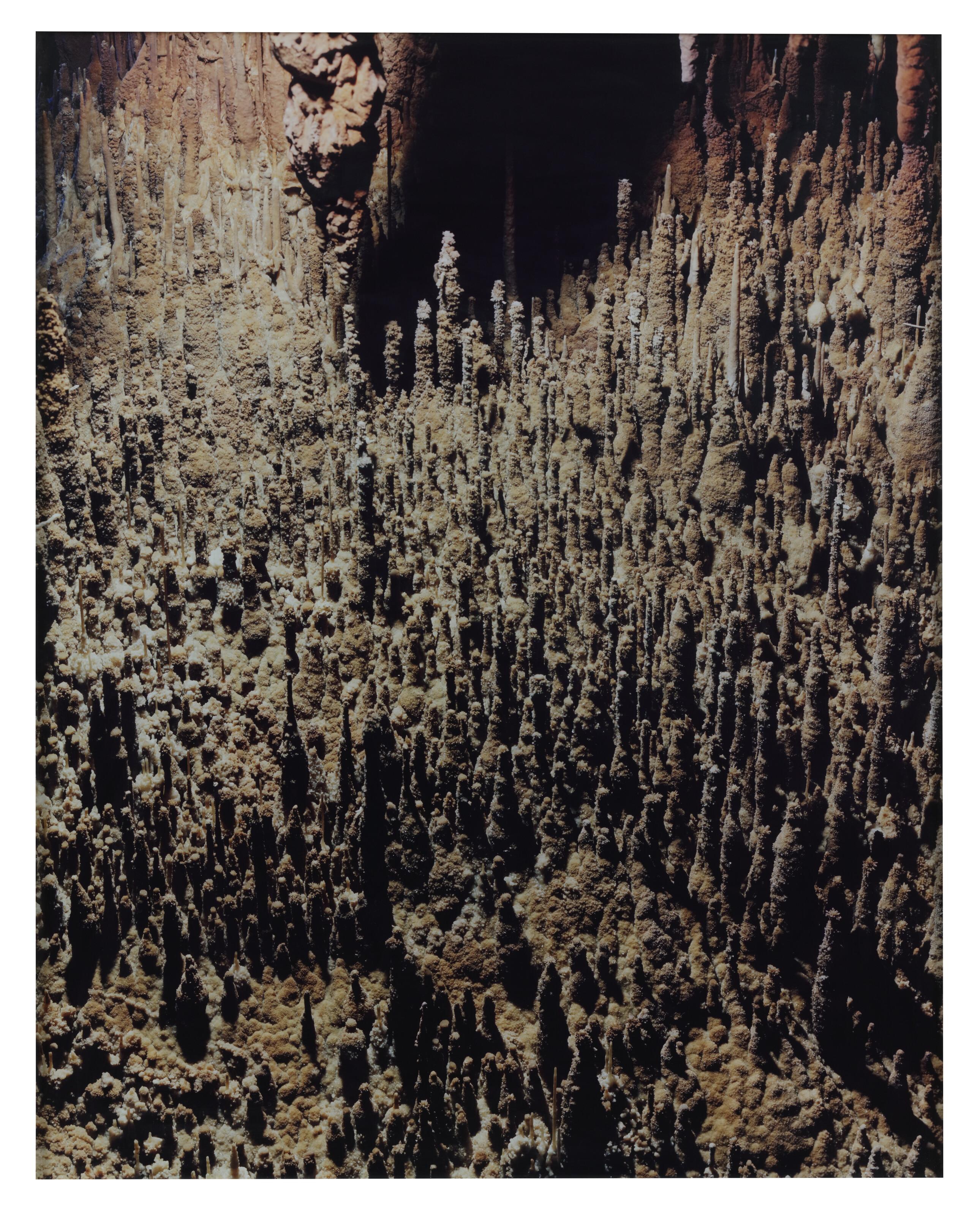 Torbjorn Rodland - Dripstone