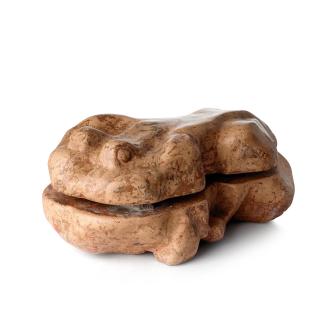 Torsten Renqvist - Frog