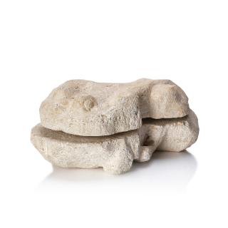 Torsten Renqvist - Frog