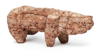 Torsten Renqvist - Rhinoceros