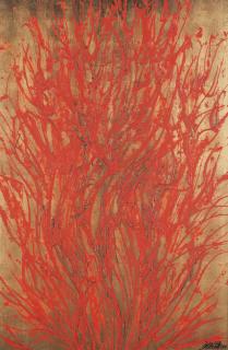 Toshimitsu Imaï - Sans Titre